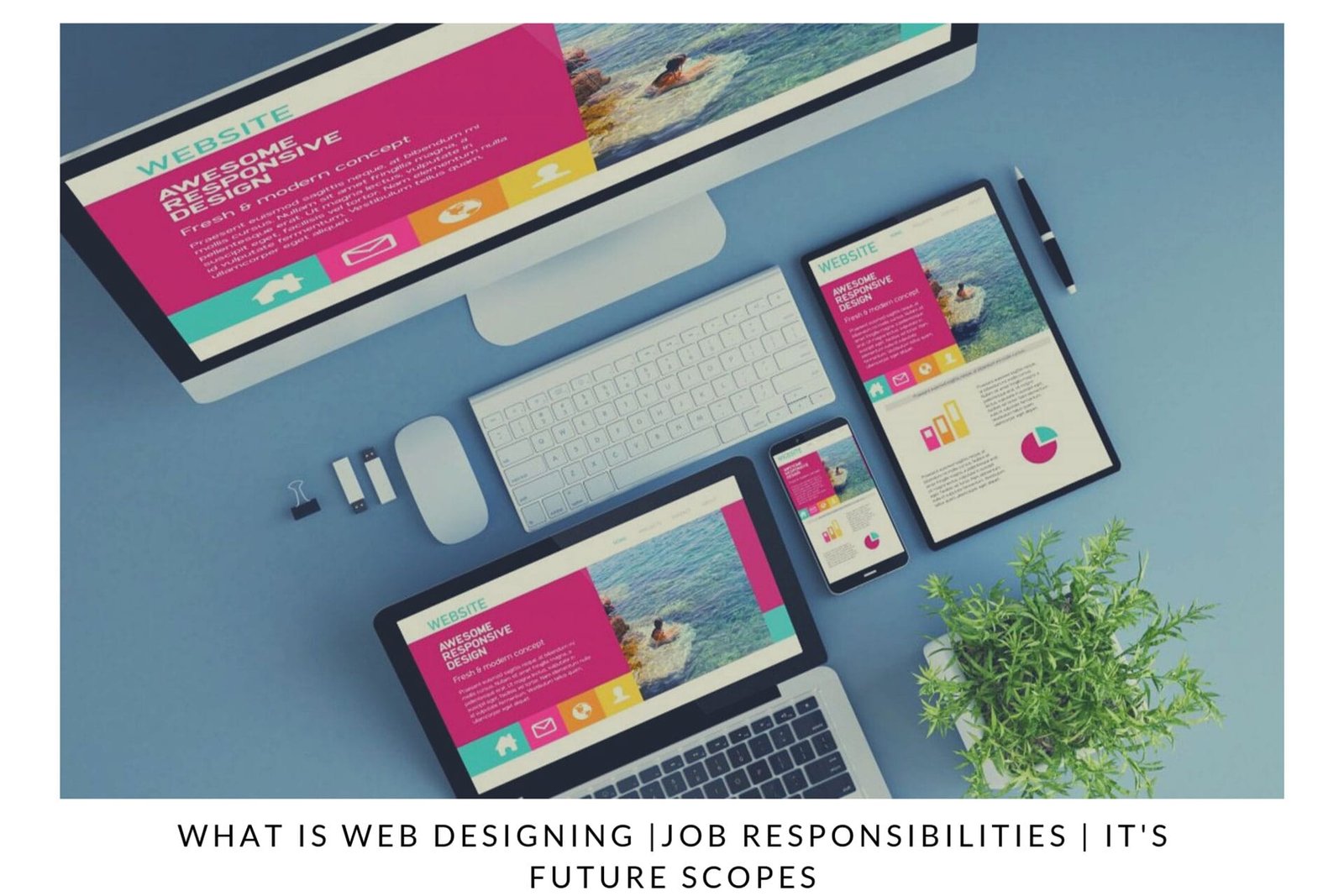 What Is Web Designing & What Are The Future Scopes In Web Designing?